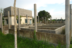 মসস্য হেচারী