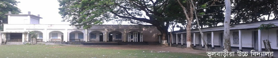 ভূলবাড়ীয়া উচ্চ বিদ্যালয়