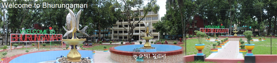 ভূরুঙ্গামারী
