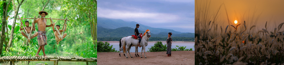 প্রকৃতির ছবি