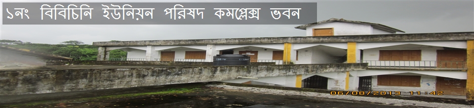 ১ন বিবিচিনি ইউনিয়ন পরিষদ কমপ্লেক্স ভবন