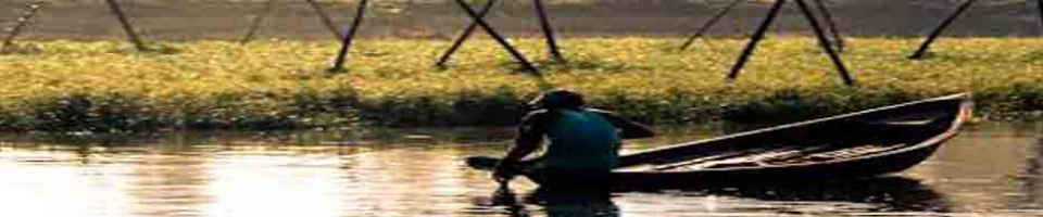 তিতাস নদী