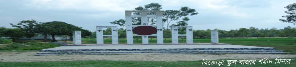 বিজোড়া স্কুল বাজার শহীদ মিনার