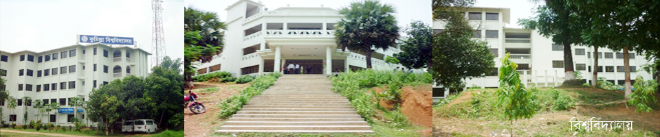 ব্যানার