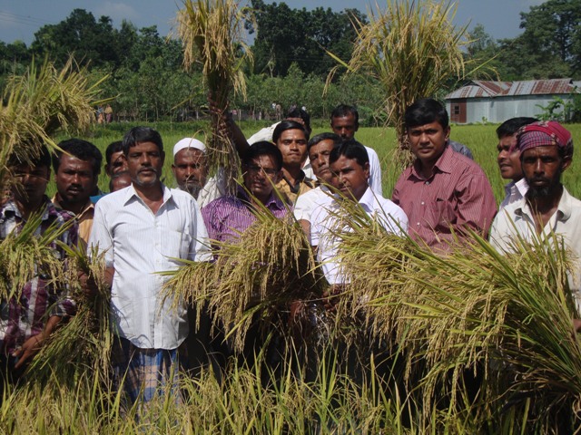 Field Day of Binadhan-7 at Vurungamari, Kurigram
