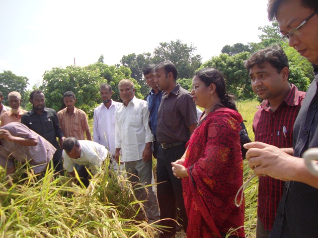 Field Day of Binadhan-7 at Saidpur, Nilphamari