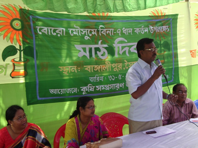 Field Day of Binadhan-7 at Boro season, Saidpur
