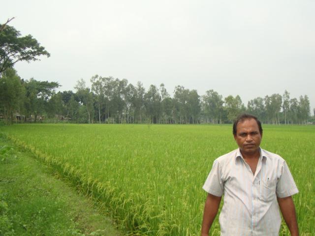 Field view of Binadhan-7