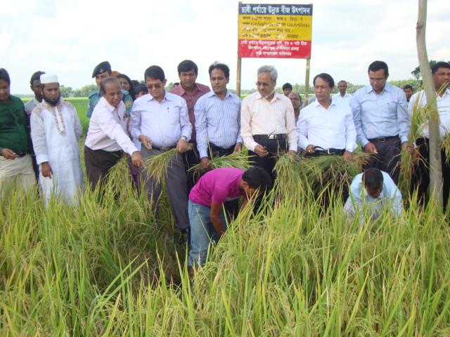 Field Day of Binadhan-7 at Nilphamari