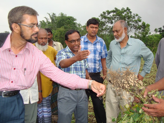 Field Day of Binachinabadam-4 at Kaligong, Lalmonirhat