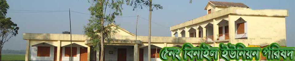 বিনাইল ইউনিয়ন