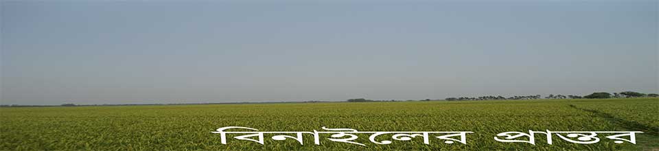 বিনাইল ইউনিয়ন
