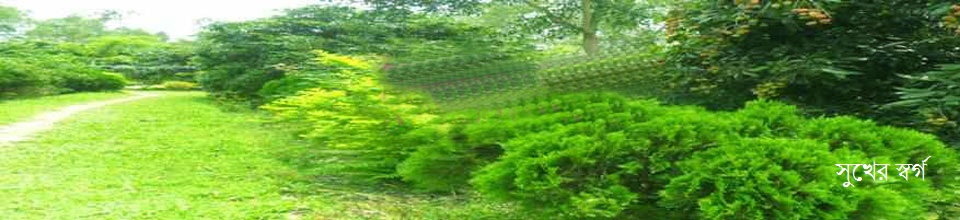 সুখের স্বর্গ