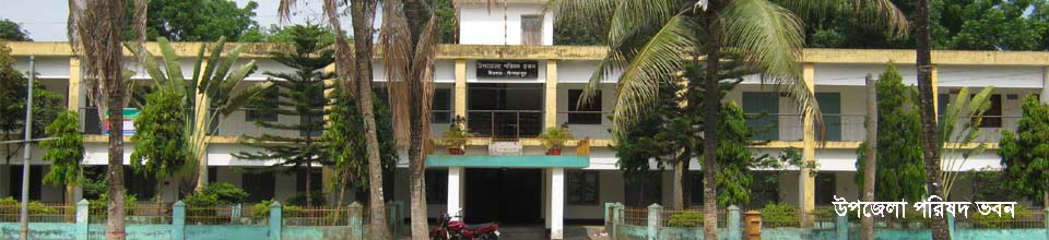 বীরগঞ্জ উপজেলা পরিষদ ভবন