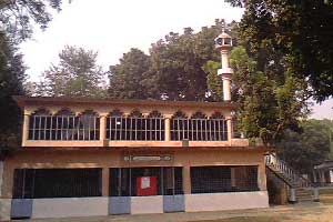 উপজেলা জামে মসজিদ