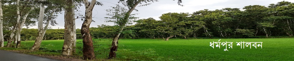 ধর্মপুর শালবন