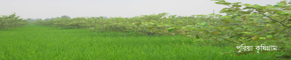 পুরিয়া কৃষিগ্রাম