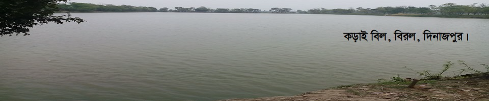 কড়াই বিল