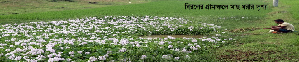 মাছ
