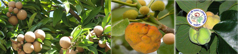 পুষ্টি