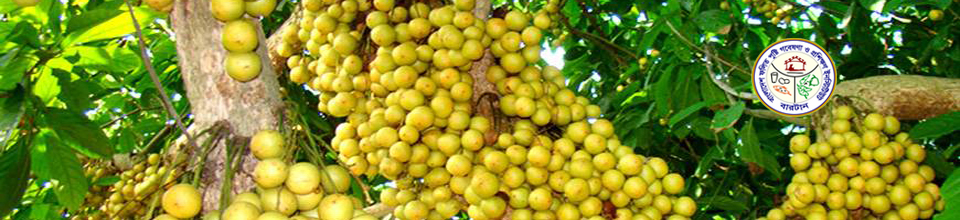 ব্যানার-৬