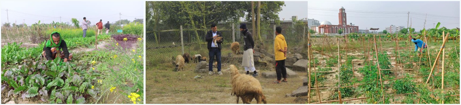 ব্যানার-৮