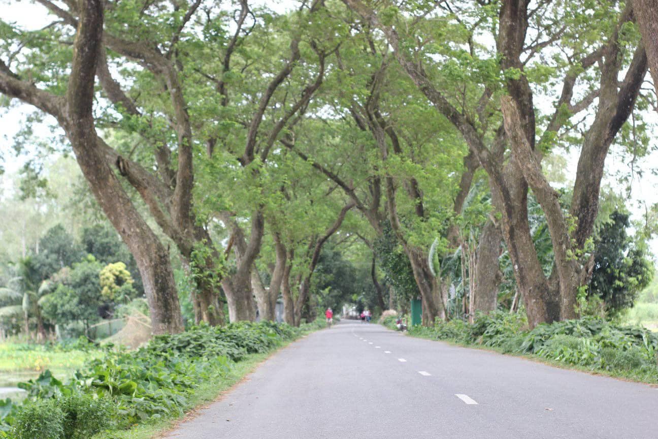 কেন্দুয়া রাস্তা