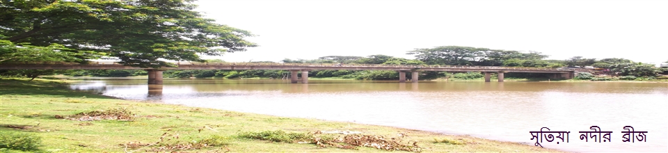 সুতিয়া নদীর ব্রিজ