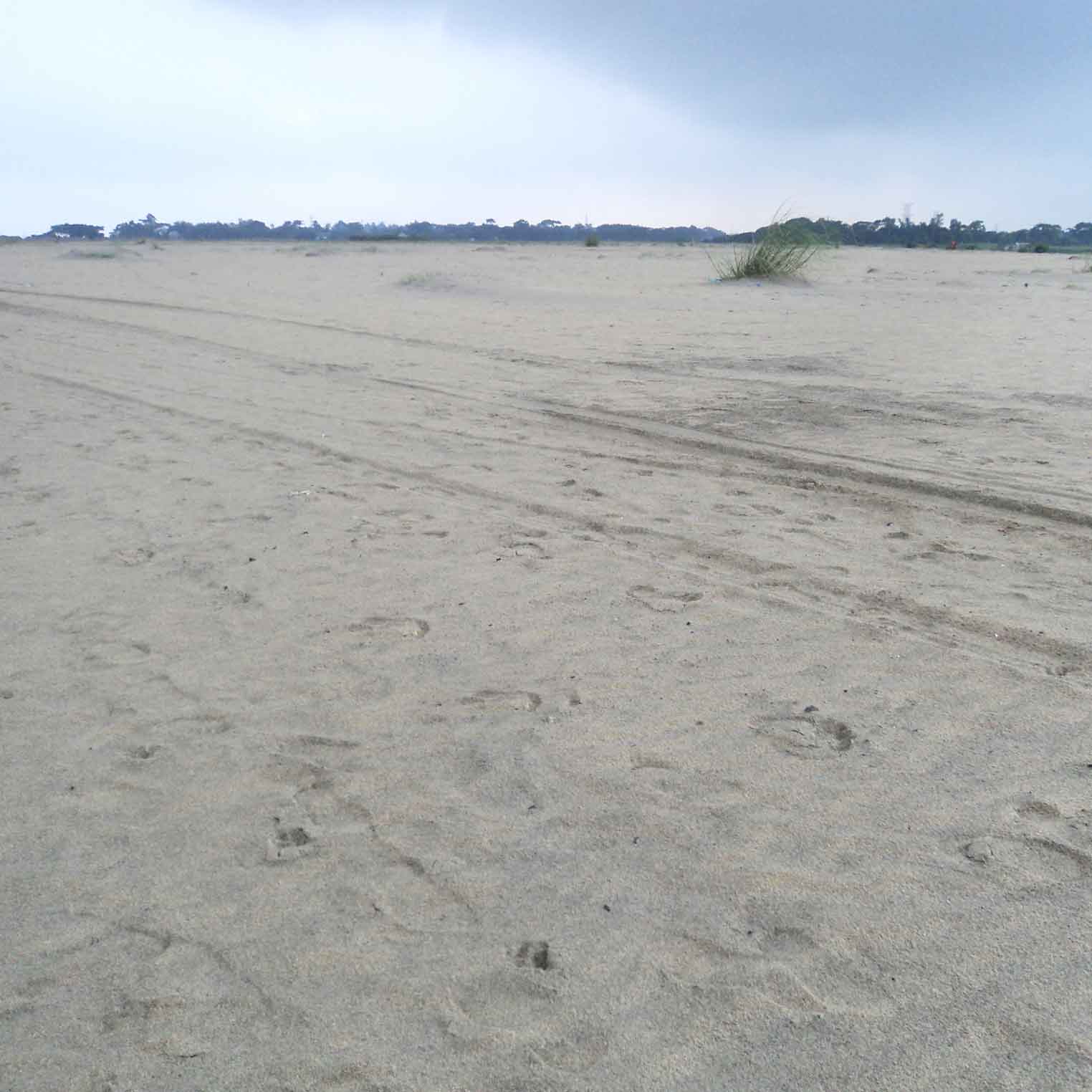 ভূমি অফিস