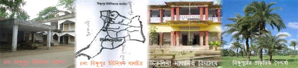 বিষ্ণুপুর ইউনিয়ন