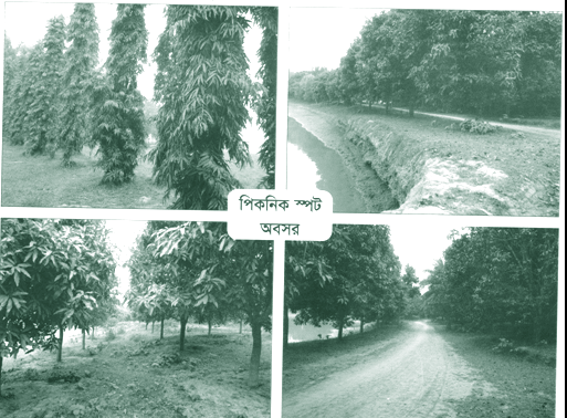 ফটোগ্যালারী