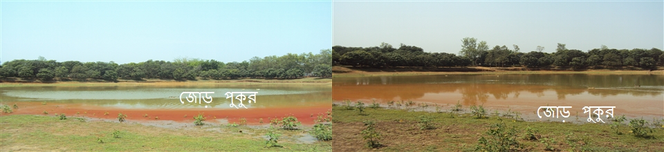 জোড় পুকুর