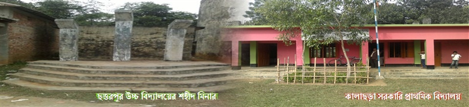 শহিদ মিনার ছত্তরপুরা উচ্চ বিদ্যালয় ও কালাছড়া প্রাথমিক বিদ্যালয়