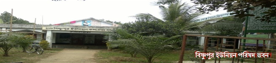 বিষ্ণুপুর ইউনিয়ন পরিষদ ভবন