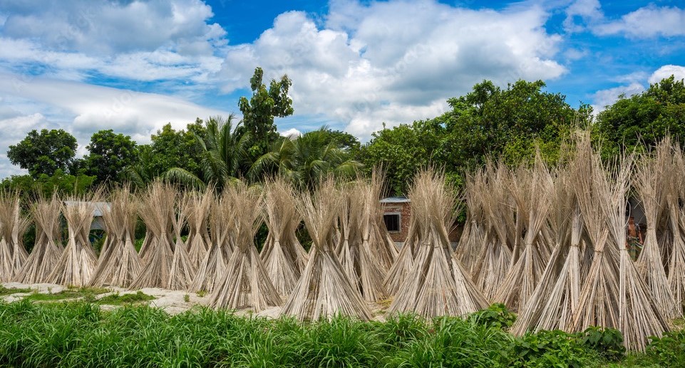 পাটকাঠি