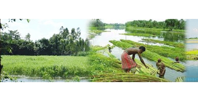 ব্যানার