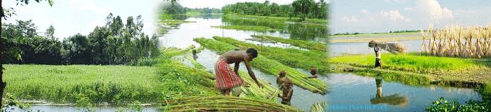 ব্যানার-৩