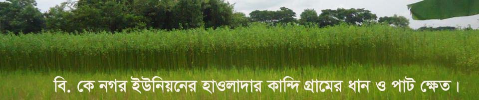 দেশ রত্ন শেখ হাসিনা