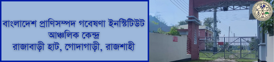 রাজশাহী
