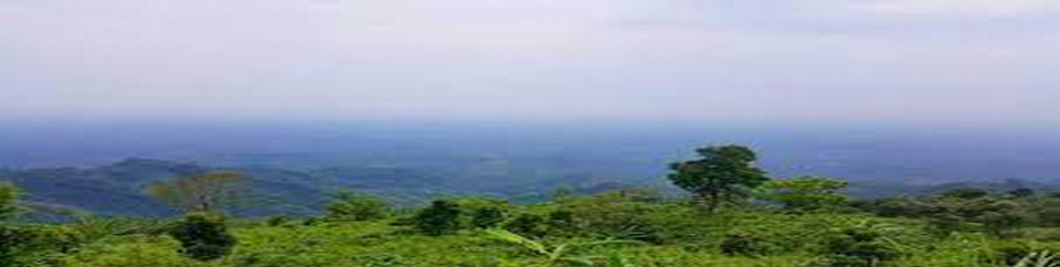 শীতকাল