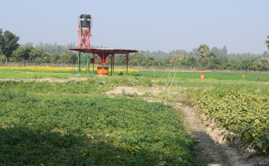 সোলার পাতকুয়া