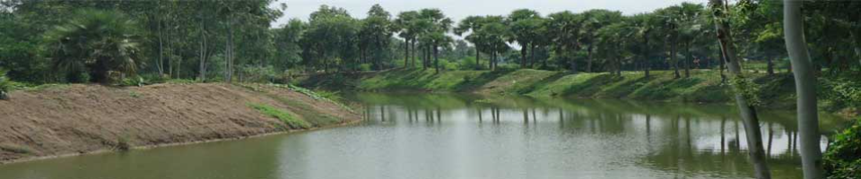 বিএমডিএ,ভোলাহাট জোন