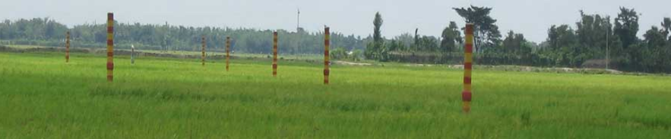 পাইপ লাইন