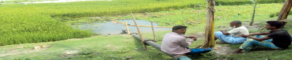 এলএলপির মাধমে সেচ প্রদান