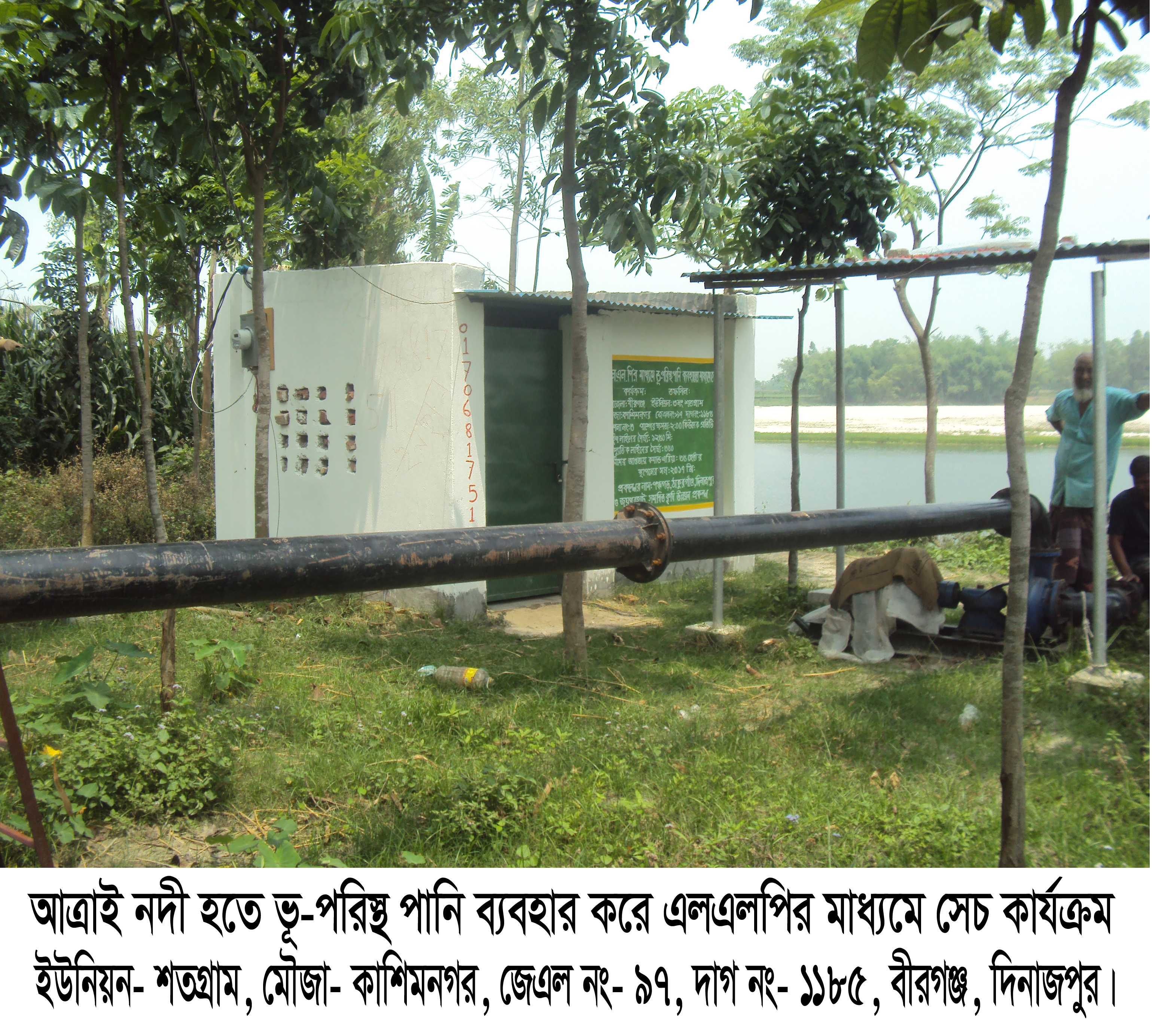 এলএলপি