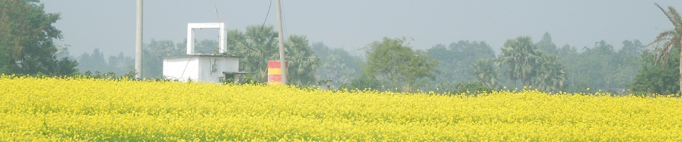 গভীর নলকূপে রবি শষ্য আবাদ