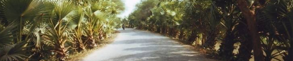 বরেন্দ্র বহুমুখী উন্নয়ন কর্তৃপক্ষ