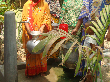 আমাদের বিষয়ে