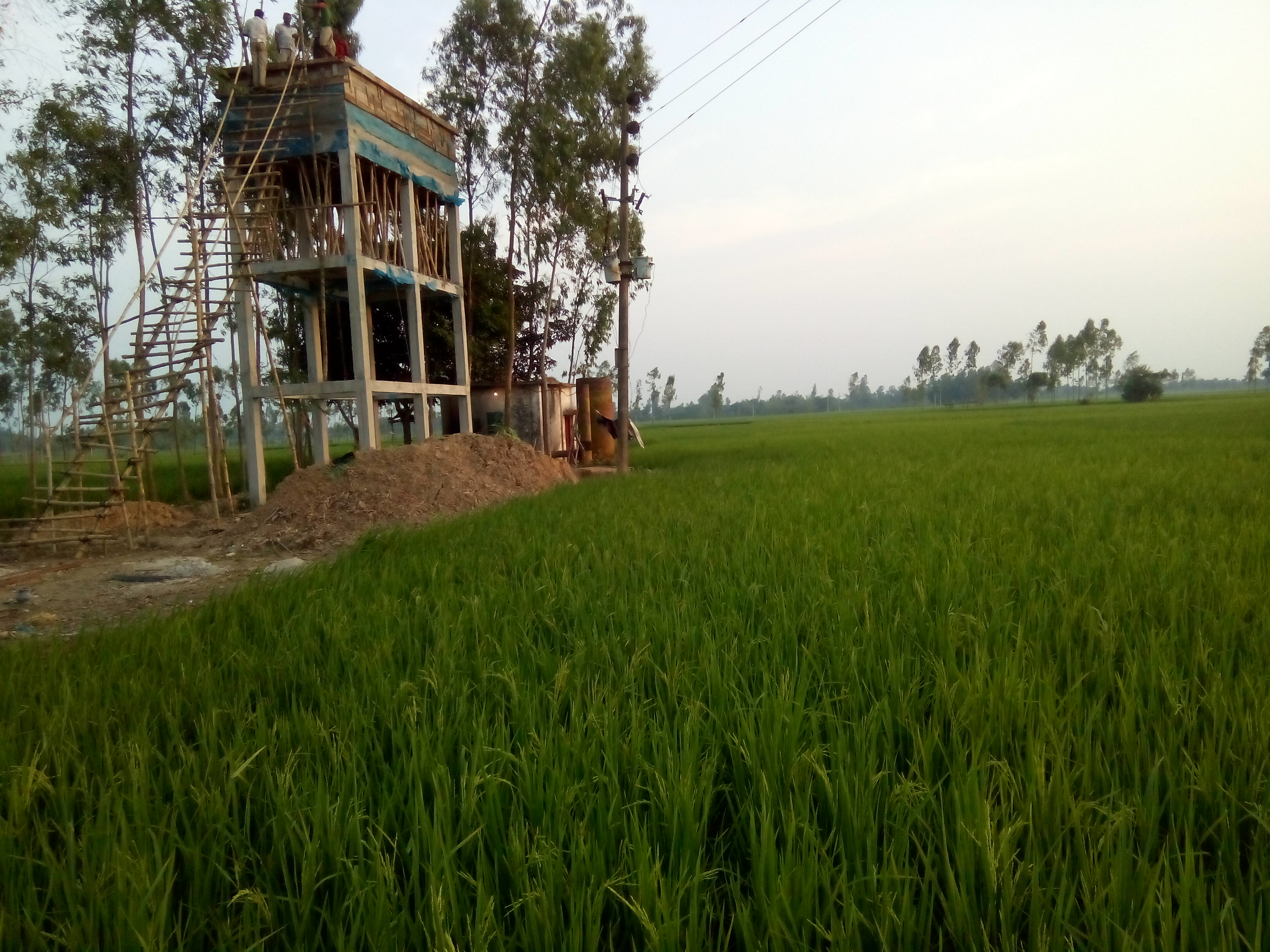 বিএমডিএ ধামইরহাট ফটোগ্যালারি