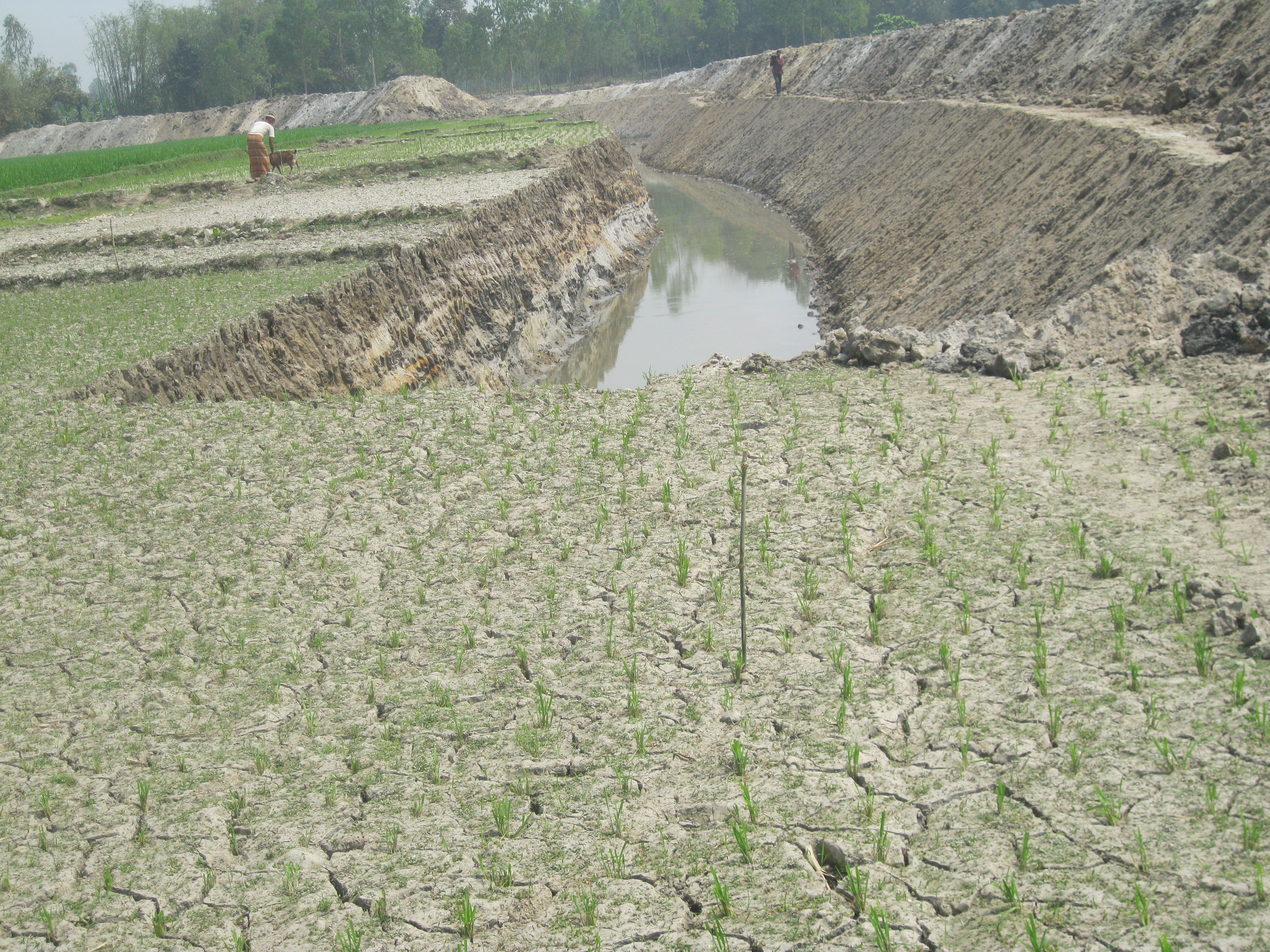 খাল পুন: খনন